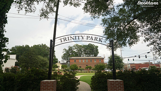 Music and Art in Trinity Park